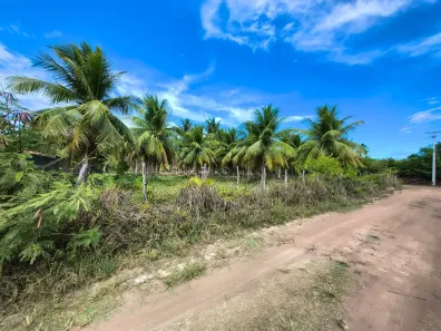 Lote/Terreno à venda, 2600m² no , São Miguel dos Milagres
