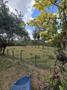 Fazenda/Sítio com 2 Quartos à venda, 600m² no , Mateus Leme