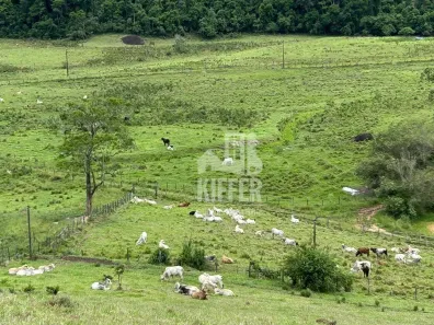 Fazenda/Sítio com 6 Quartos à venda, 1000m² no Rio Bonito, Rio Bonito