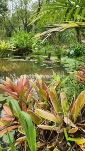 Fazenda/Sítio com 3 Quartos à venda, 260000m² no , Piracema