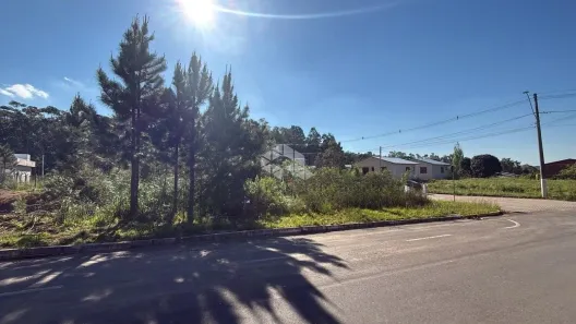 Lote/Terreno à venda, 510m² no Peterlongo, Garibaldi