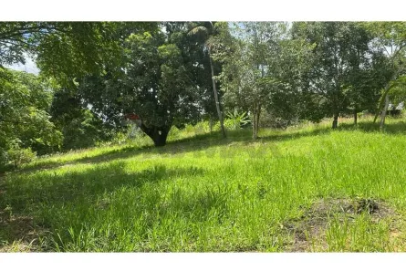Lote/Terreno à venda, 6637m² no Parque Capibaribe, São Lourenço da Mata