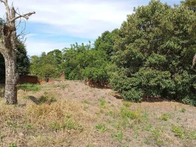 Lote/Terreno à venda, 790m² no Lot Nossa Senhora de Lurdes, Serra Negra