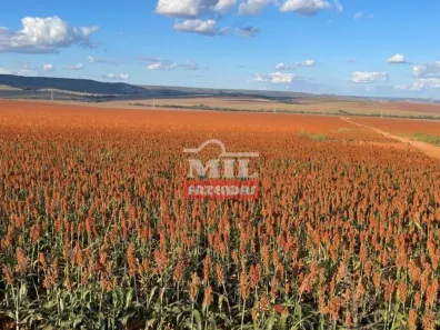 Fazenda/Sítio à venda, 500m² no , Cristalina