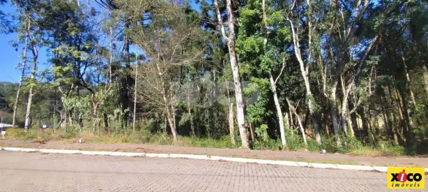 Lote/Terreno à venda, 365m² no Nova Petrópolis, Nova Petrópolis