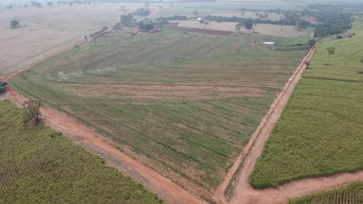 Fazenda/Sítio com 5 Quartos à venda, 700m² no , Nipoã