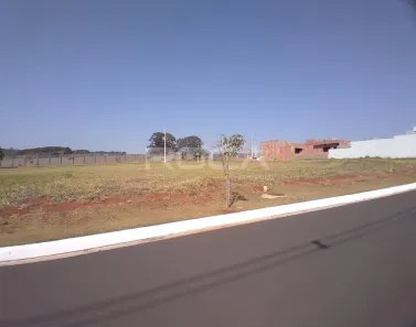 Lote/Terreno à venda, 250m² no Residencial Samambaia, São Carlos