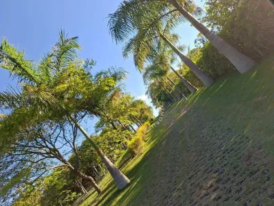 Fazenda/Sítio com 3 Quartos à venda, 500m² no Mombuca, Itatiba