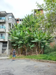 Lote/Terreno à venda, 156m² no Jardim Graziela, Barueri
