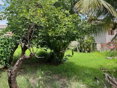 Lote/Terreno à venda, 493m² no City Ribeirão, Ribeirão Preto