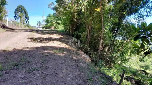 Fazenda/Sítio à venda, 29126m² no Linha Riachuelo, Nova Petrópolis