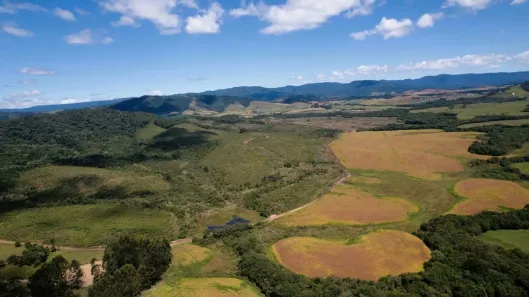 Lote/Terreno com 1 Quarto à venda, 125000m² no , Bom Retiro