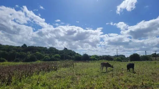 Fazenda/Sítio com 3 Quartos à venda, 60000m² no Área Rural de Águas Claras, Viamão