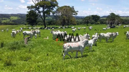 Fazenda/Sítio à venda, 5008300m² no Centro, Leopoldo de Bulhões