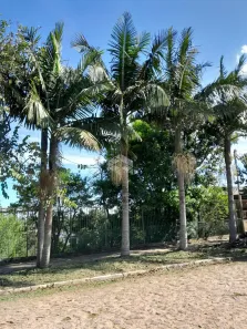 Fazenda/Sítio à venda, 5363m² no Santa Isabel, Viamão