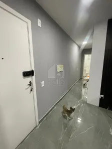 Apartamento com 2 Quartos à venda, 43m² no Guaianazes, São Paulo