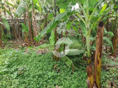 Lote/Terreno à venda, 450m² no Serra Grande, Niterói