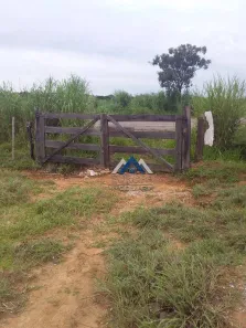 Fazenda/Sítio com 3 Quartos à venda, 130m² no Mamoeiro, Ponte Alta do Bom Jesus