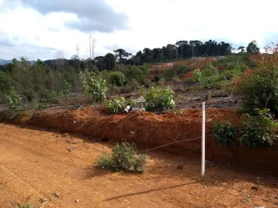 Lote/Terreno à venda, 930m² no Torreões, Juiz de Fora