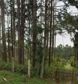 Lote/Terreno à venda, 54330m² no Jardim da Represa do Cipo, Embu-Guaçu