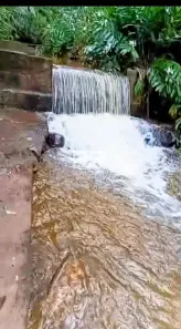 Fazenda/Sítio com 8 Quartos à venda, 500m² no Colônia Alpina, Teresópolis