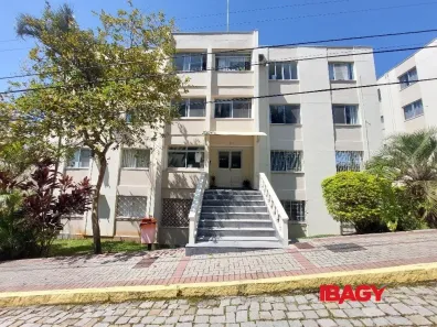 Apartamento com 3 Quartos para alugar, 57m² no Córrego Grande, Florianópolis