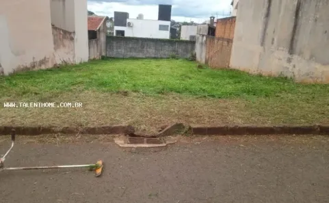Lote/Terreno à venda, 360m² no Brasília, Londrina