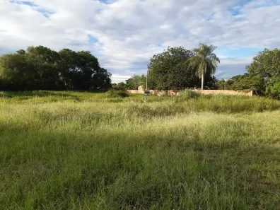 Lote/Terreno à venda, 1500m² no Centro, Porto Murtinho