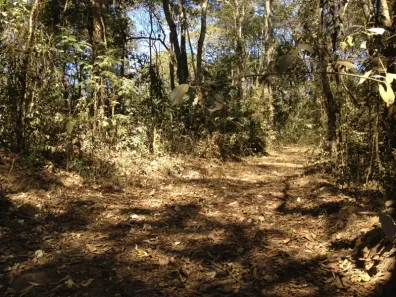 Fazenda/Sítio à venda, 47000m² no , Caeté