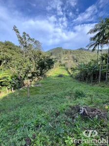 Lote/Terreno à venda, 2550m² no , Paulo Lopes