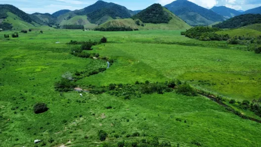 Fazenda/Sítio à venda, 14520000m² no Casimiro de Abreu, Casimiro de Abreu
