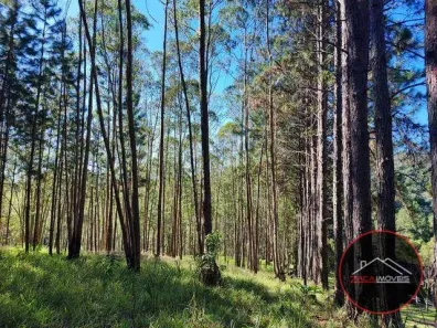 Fazenda/Sítio à venda, 648000m² no Quatinga, Mogi das Cruzes
