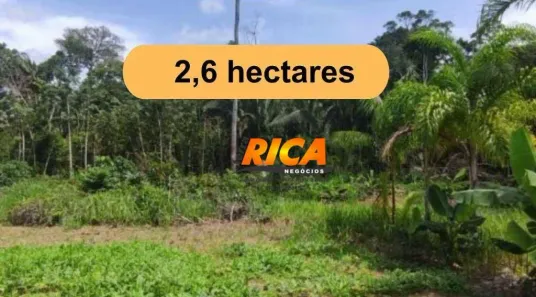 Fazenda/Sítio com 3 Quartos à venda, 26000m² no Área Rural de Porto Velho, Porto Velho