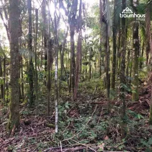 Fazenda/Sítio à venda, 40000m² no Capitais, Timbó