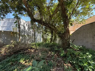 Lote/Terreno à venda, 300m² no Vila Diva, Carapicuíba