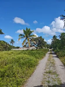 Lote/Terreno à venda, 392m² no Zona de Equilíbrio Ambiental (ZEA), Ipojuca