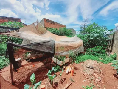 Lote/Terreno à venda, 390m² no Jardim Maria Goretti, Ribeirão Preto