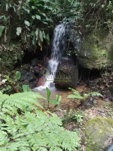 Lote/Terreno à venda, 50000m² no , Rancho Queimado