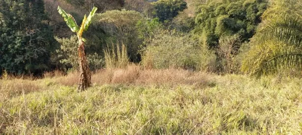 Lote/Terreno à venda, 9568m² no São Vicente, Mairiporã