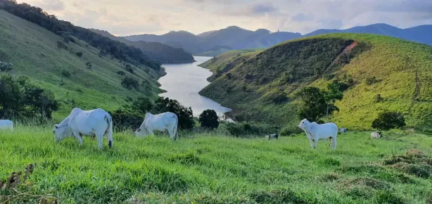 Fazenda/Sítio com 6 Quartos à venda, 3338000m² no Centro, Natividade da Serra