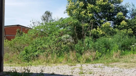 Lote/Terreno à venda, 362m² no São Roque, Bento Gonçalves