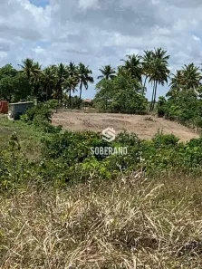 Lote/Terreno à venda, 1800m² no Centro, Pitimbu