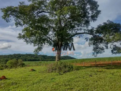Fazenda/Sítio à venda, 871200m² no Conjunto Santa Lucia, Anicuns