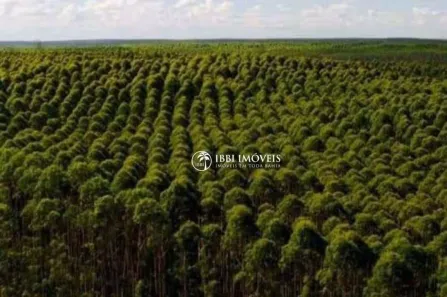 Fazenda/Sítio à venda, 500m² no Porto Seguro, Porto Seguro