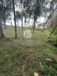 Fazenda/Sítio à venda, 10319m² no Bateias de Baixo, Campo Alegre