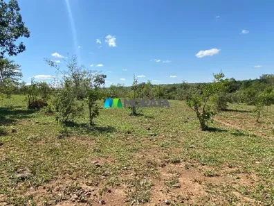 Fazenda/Sítio com 1 Quarto à venda, 105m² no Tomás Gonzaga, Curvelo