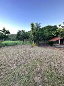 Fazenda/Sítio com 3 Quartos à venda, 288269m² no , Buriti Alegre