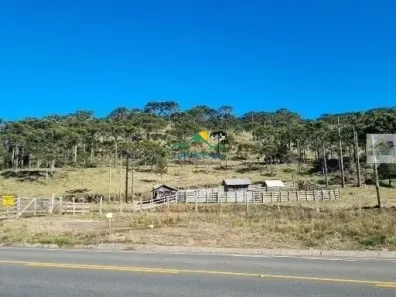 Fazenda/Sítio à venda, 1280000m² no , São Joaquim