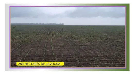 Fazenda/Sítio à venda, 34010000m² no Zona Rural, Palmeira do Piauí