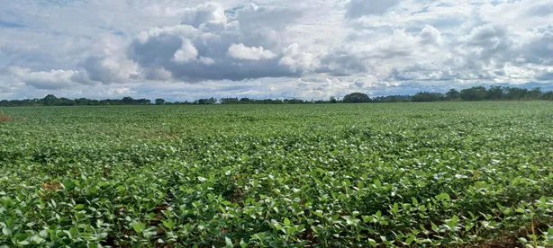Fazenda/Sítio com 2 Quartos à venda, 420000m² no Paranoá, Brasília